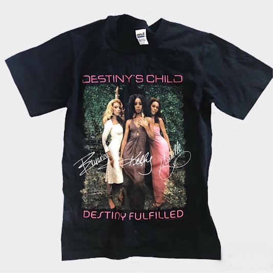 VINTAGE DESTINY FULFILLED TOUR TEE